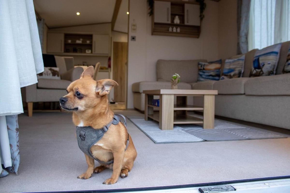 Eagle'S Den Caravan Lossiemouth Luaran gambar
